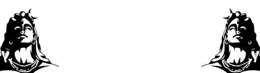 Astrologer Dinesh Shastri